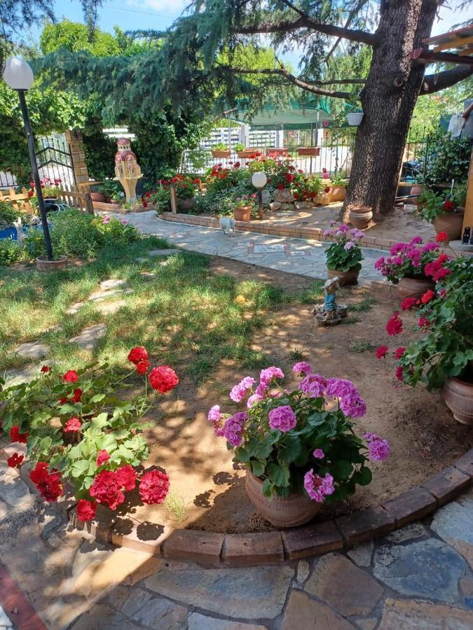Handmade Peaceful Cozy House Near The Beach Nea Kallikrateia Exteriör bild